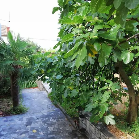 Vigo - Appartement